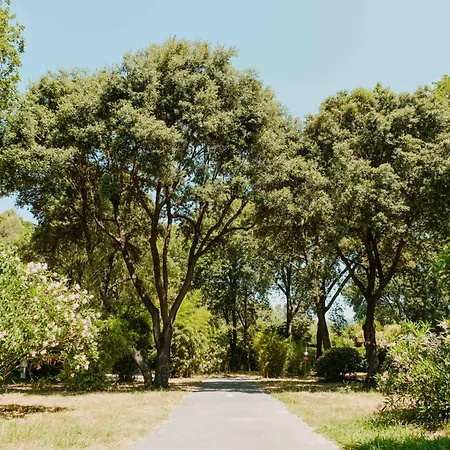 Val Fleuri Atc אתר קמפינג